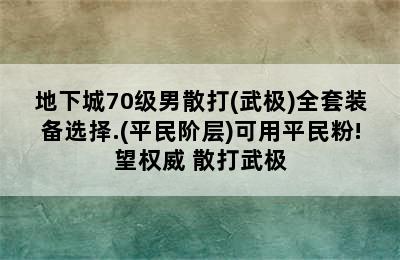 地下城70级男散打(武极)全套装备选择.(平民阶层)可用平民粉!望权威 散打武极